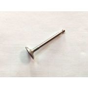 Впускной клапан (6696417)