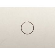 Кольцевая пружина 12